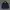Dickies Casual Denim jacket Pria navy photo 1