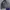 Sportswear Puffer jacket Pria navy black photo 1
