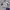 Y2K Sportswear Windbreaker Pria white photo 1