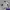 Y2K Sportswear Windbreaker Pria White