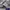 Y2K Sportswear Windbreaker Pria white photo 4