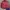 Y2K Sportswear Windbreaker Pria red photo 1