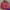 Y2K Sportswear Windbreaker Pria Red