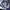 Gorpcore Windbreaker Pria navy photo 3