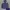 Gorpcore Windbreaker Pria navy photo 1