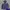 Gorpcore Windbreaker Pria Navy