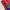 Gorpcore Minimalist Windbreaker Pria red photo 5