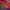Gorpcore Minimalist Windbreaker Pria red photo 3