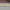 Nautica Gorpcore Sportswear Windbreaker Pria yellow brown photo 5
