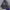 Leyton House Racing Y2K Minimalist Parka Pria navy photo 1