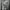 MCM Luxury Windbreaker Pria black gray photo 4
