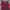 Nike Vintage Casual Jersey Pria Navy Red