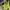 Neon Green Puffy Tote Bag From