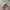 Vintage Casual Hat Pria white photo 3
