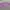 Casual Crop top Wanita purple photo 1