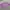 Casual Crop Top Wanita Purple