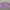 Casual Crop top Wanita purple photo 2