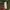 Abercrombie & Fitch Streetwear Y2K Windbreaker Pria green photo 7