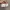 Vintage Sneakers Pria white photo 7
