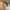 Vintage Sneakers Pria white photo 6