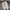 Vintage Sneakers Pria white photo 4