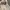 Vintage Streetwear Sneakers Wanita white photo 6