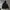 Adidas Sportswear Minimalist Windbreaker Pria black photo 3