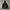 Adidas Sportswear Minimalist Windbreaker Pria black photo 6