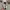 Converse Vintage Sneakers Pria white photo 7