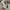 Converse Vintage Sneakers Pria white photo 5