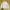 Japanese brand Streetwear Y2K Windbreaker Pria cream photo 1
