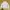 Japanese Brand Streetwear Y2K Windbreaker Pria Cream