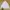 Japanese brand Streetwear Y2K Windbreaker Pria cream photo 2