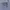 Adidas Sportswear Jersey Pria white photo 2