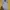 Nike Streetwear Hoody Pria gray photo 4