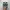 New Balance Casual Sneakers Pria green photo 4