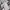 Charles and Keith Luxury Shoulder bag Wanita cream photo 4