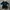 Nike Streetwear Sportswear Jersey Pria multicolor photo 1