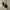 Pull & Bear Minimalist Shoulder bag Wanita cream black photo 2