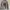 Alexander McQueen Luxury Sweater Pria gray photo 1