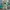 Minimalist Casual dress Wanita green photo 1