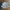 Pancoat Casual Sweatshirt Pria Blue Gray