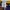 Reebok Y2K Sportswear Hoody Pria yellow navy photo 6