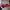 Louis Vuitton Vintage Crossbody Bag Wanita red photo 2