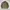 Japanese brand Vintage Harrington jacket Pria tan photo 7