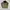 Japanese brand Vintage Harrington jacket Pria tan photo 6