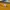 Casual Sweatshirt Pria Yellow