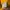 Casual Sweatshirt Pria yellow photo 3