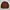 Japanese brand Vintage Harrington jacket Pria brown photo 7