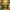 Louis Vuitton Luxury Casual Duffel bags & Holdall Wanita gold brown photo 1
